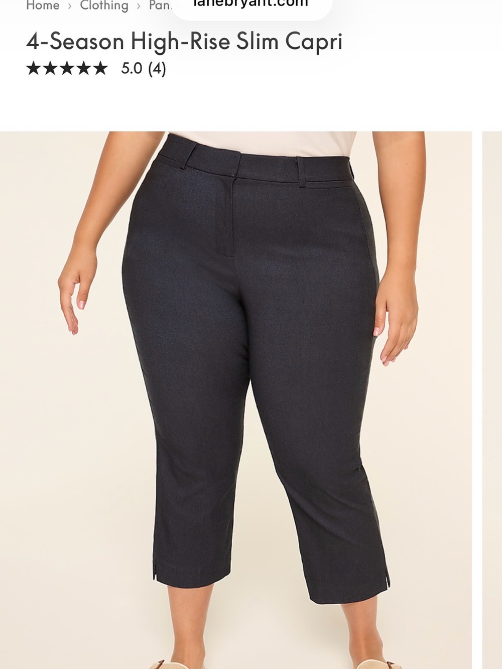 20WP High-Rise Slim Capri Pants - Dark Denim color
